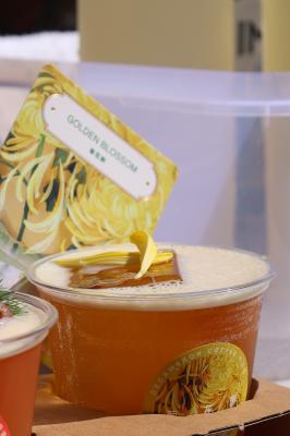 2025深圳簕杜鹃花展