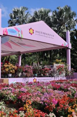 2025深圳簕杜鹃花展