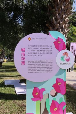 2025深圳簕杜鹃花展