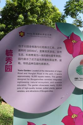 2025深圳簕杜鹃花展