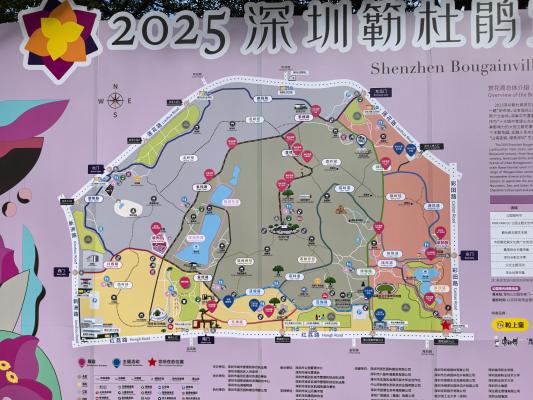 2025深圳簕杜鹃花展