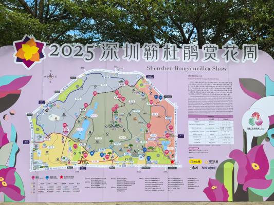2025深圳簕杜鹃花展