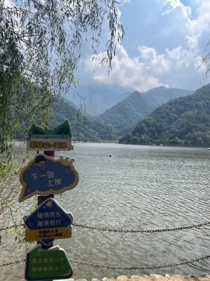 翠华山