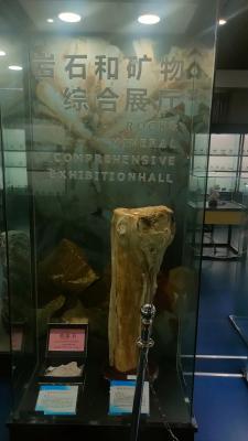 长安大学