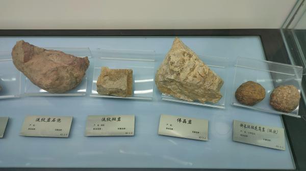 长安大学