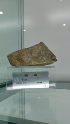 长安大学