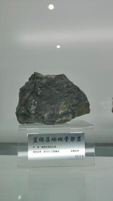 长安大学