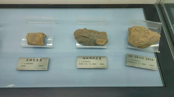 长安大学