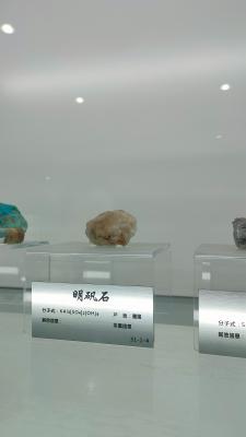 长安大学