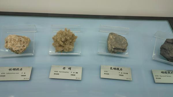长安大学