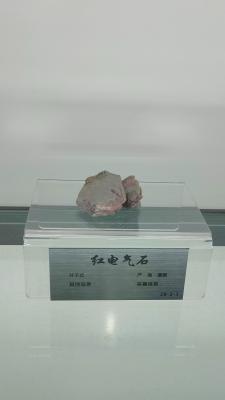 长安大学