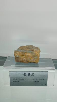 长安大学