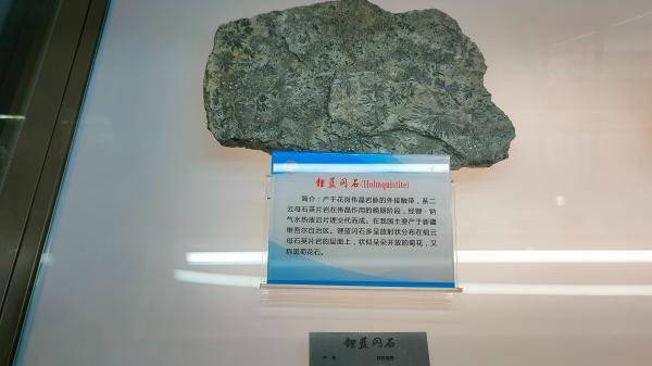 长安大学