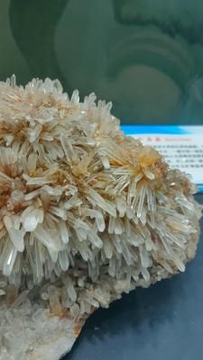 长安大学