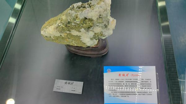 长安大学