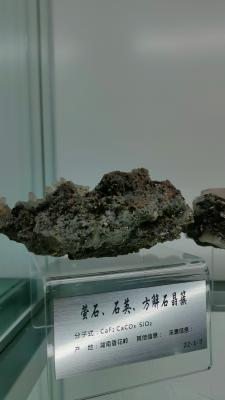 长安大学