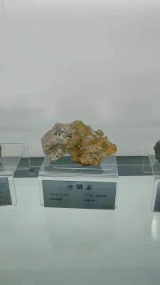 长安大学