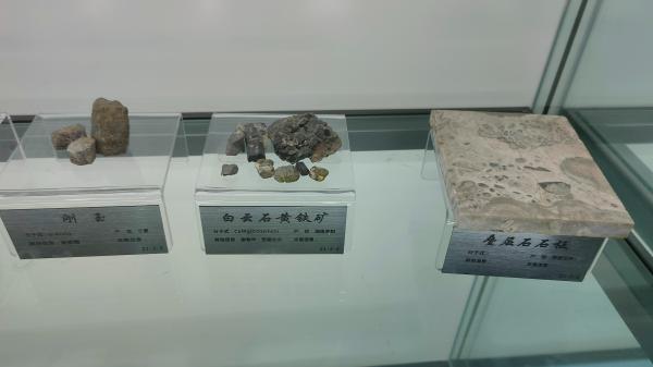 长安大学