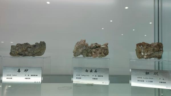 长安大学