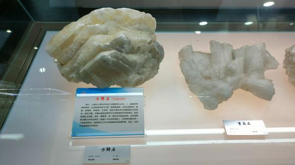 长安大学