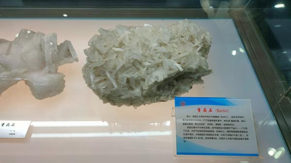 长安大学
