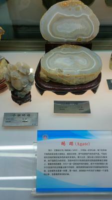 长安大学