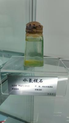 长安大学