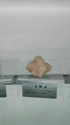 长安大学