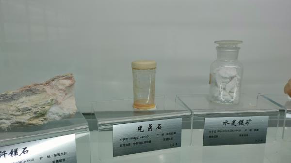 长安大学