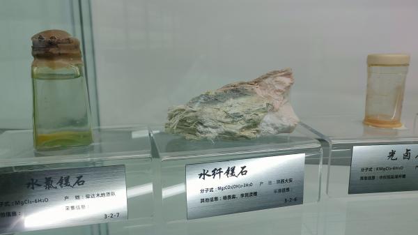 长安大学