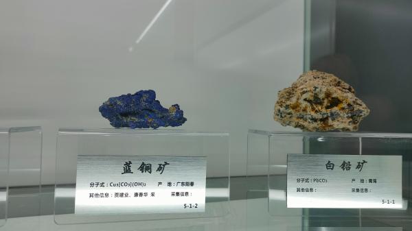 长安大学