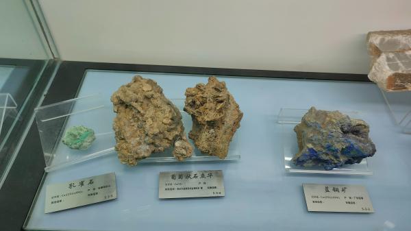 长安大学