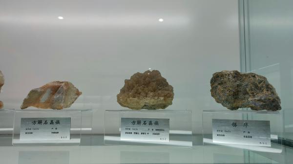 长安大学