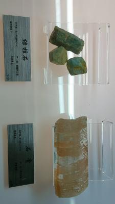 长安大学