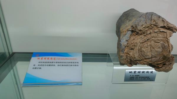 长安大学