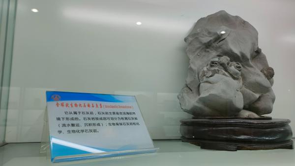长安大学