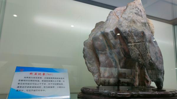 长安大学