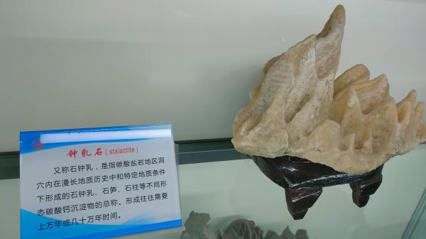 长安大学