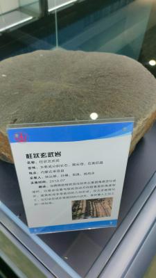 长安大学