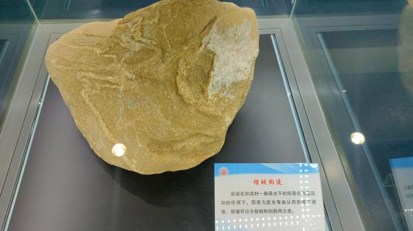 长安大学