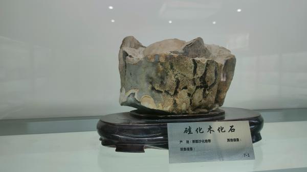 长安大学