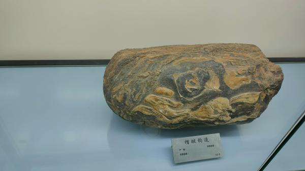 长安大学