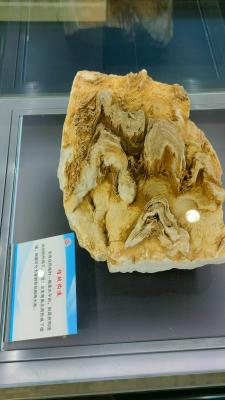 长安大学