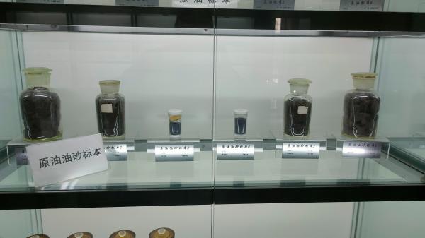长安大学
