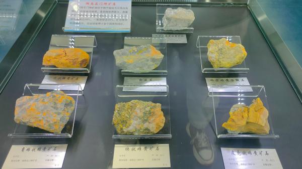 长安大学