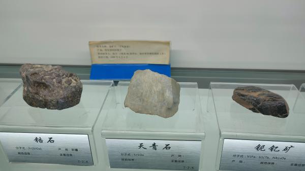 长安大学