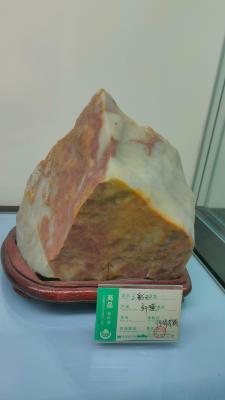 长安大学