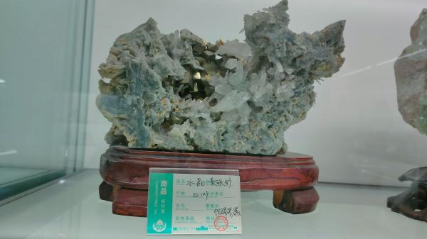 长安大学