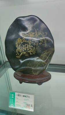 长安大学