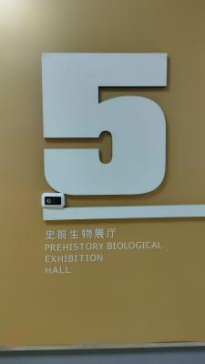 长安大学